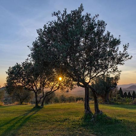Willa La Marrana - Castello Del Terriccio Castellina Marittima Zewnętrze zdjęcie