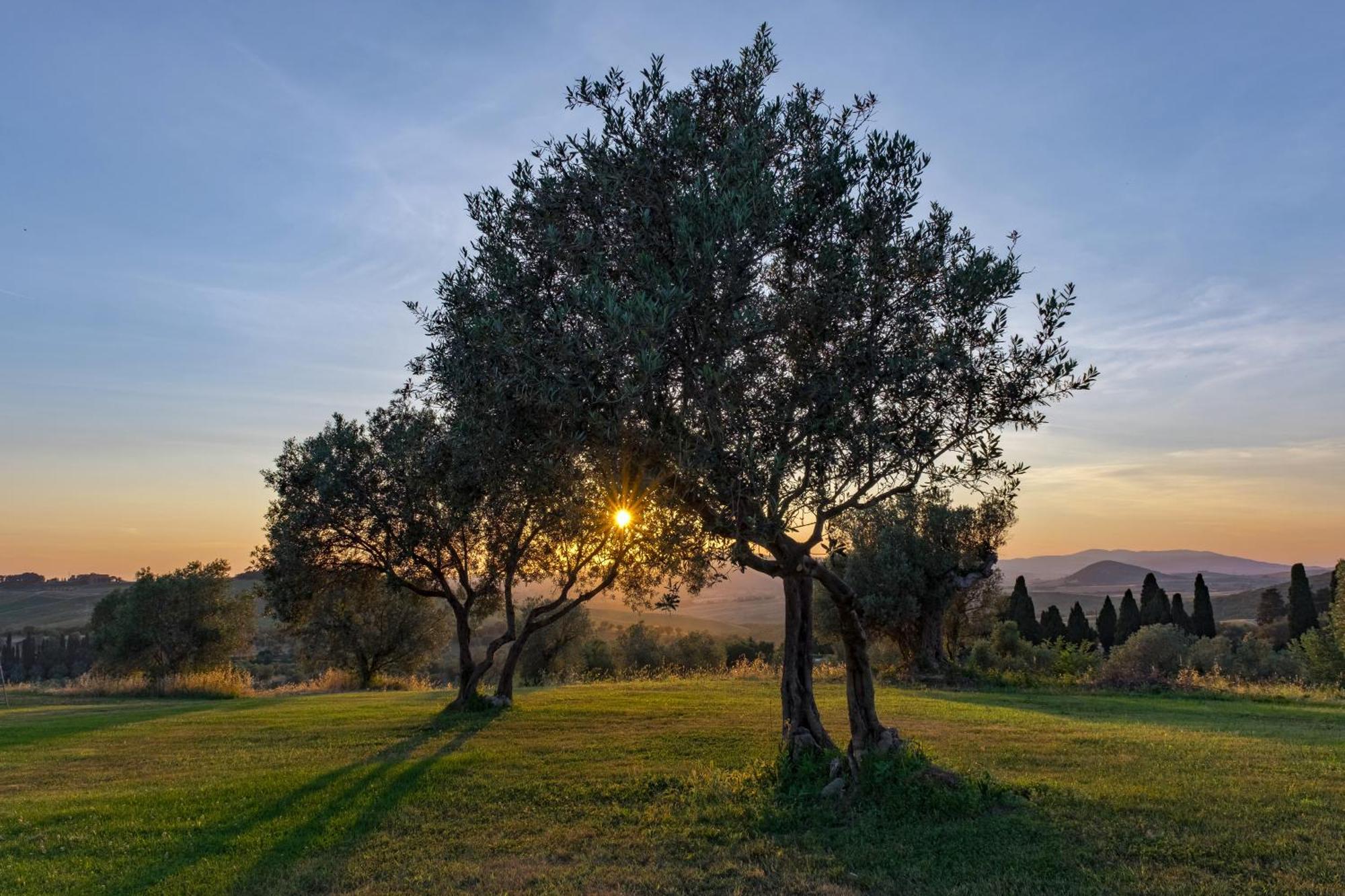 Willa La Marrana - Castello Del Terriccio Castellina Marittima Zewnętrze zdjęcie